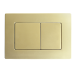 Панель змиву KOER KT-0612-12 240x160x10mm з нержавіючої сталі, кнопка квадратна (колір матове золото) (KR6121)